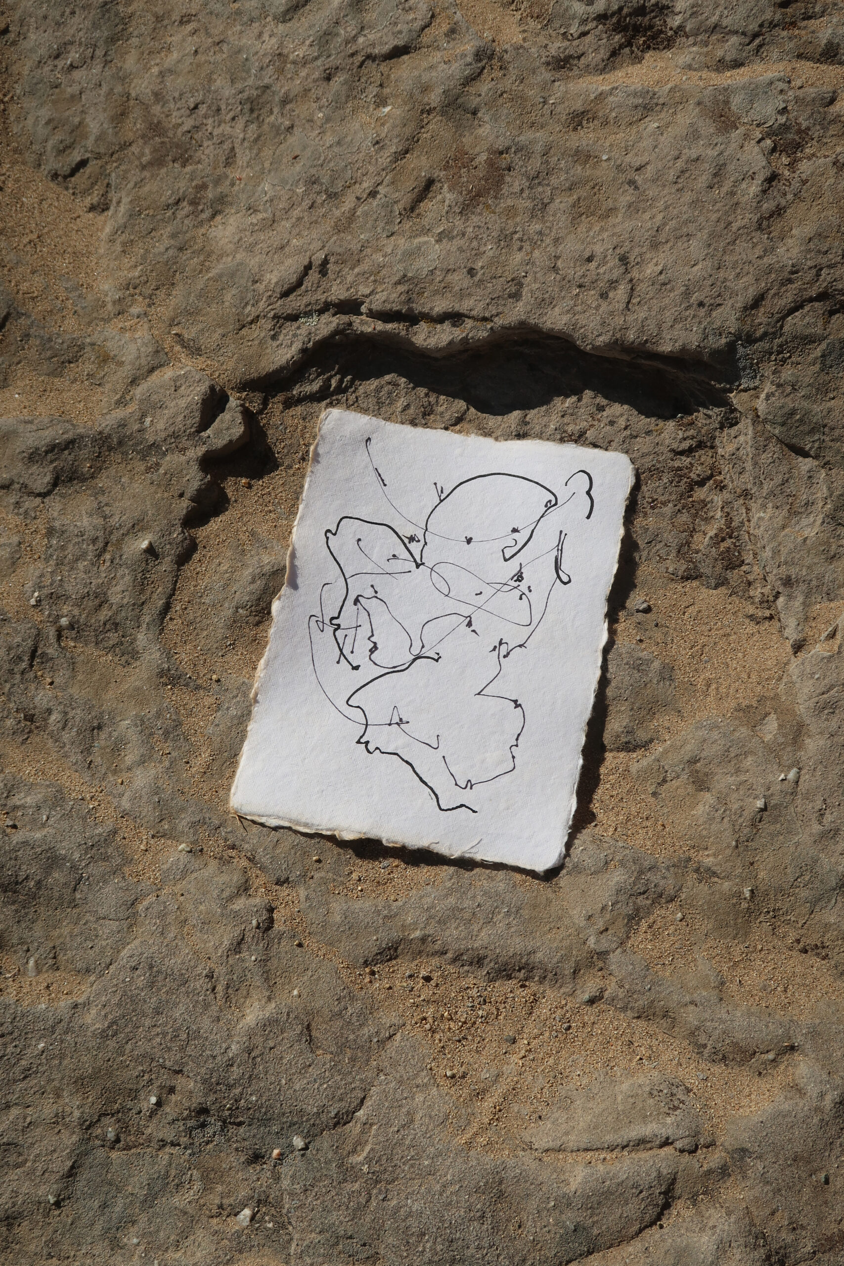 Artist Book